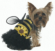 Daisy Bee Dog Pet Costume