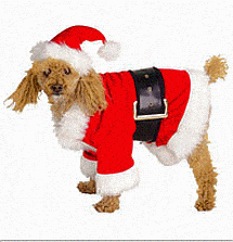Santa Dog Costume