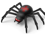 Scared of Spiders Halloween Spider