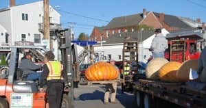 MEDamariscottaPumpkinfestlargepumpkins