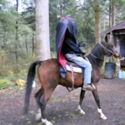 Headless Horseman