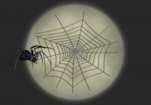 Spider Moon