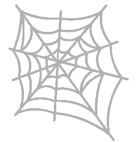 Spider Web