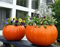 Pumpkin Containers