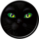 Black Cat - Eyes