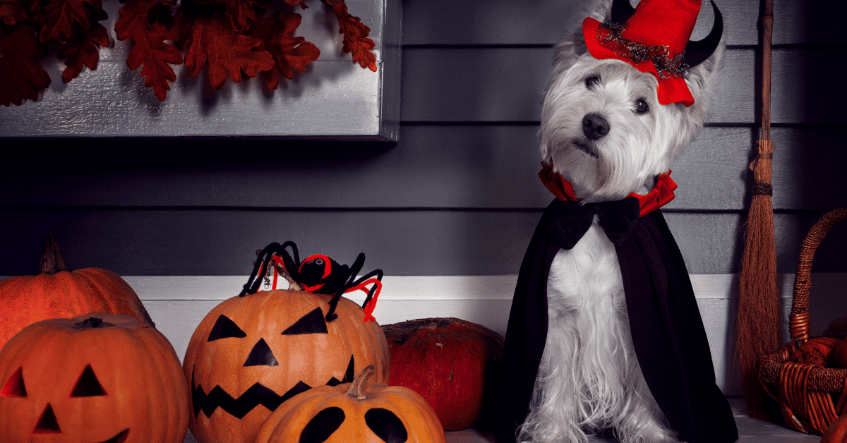  Is Halloween Of The Devil?
