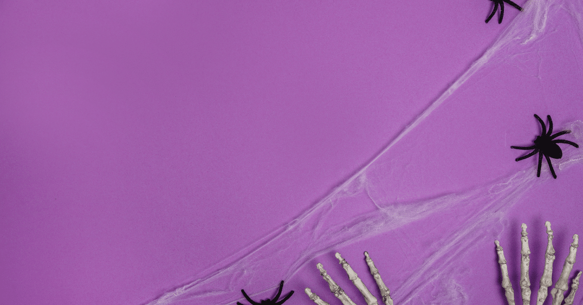 Spiders Associated With Halloween