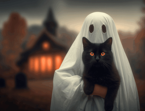 What Should I Be For Halloween Quiz​
