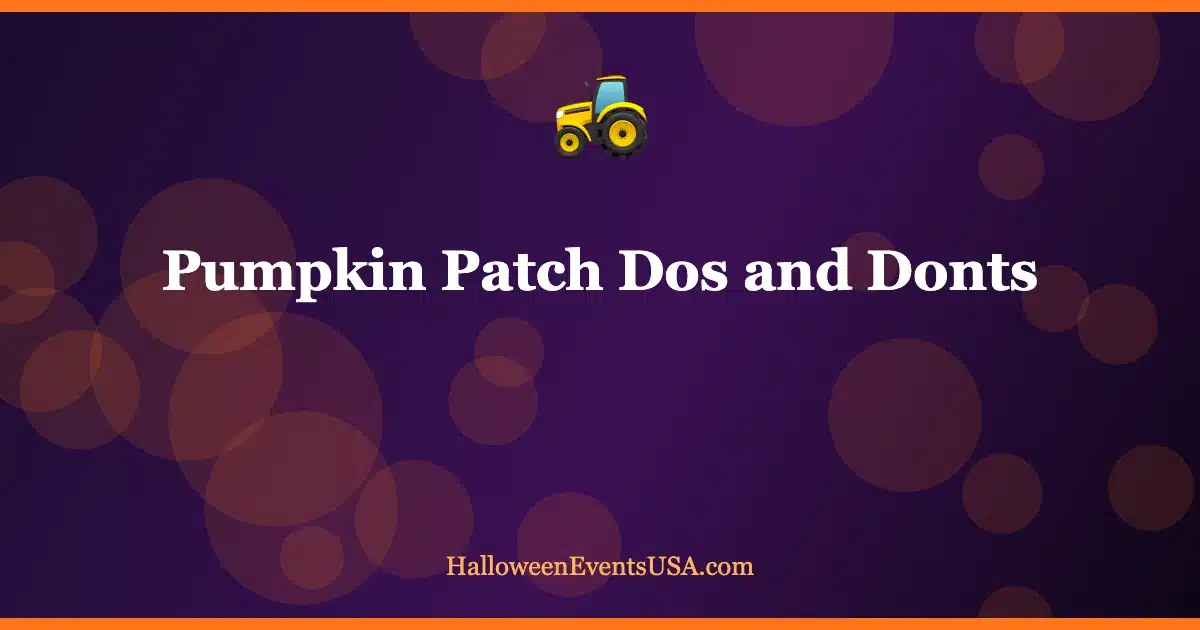 Pumpkin patch etiquette rules Pumpkin patch etiquette dos and donts list for farm visitors